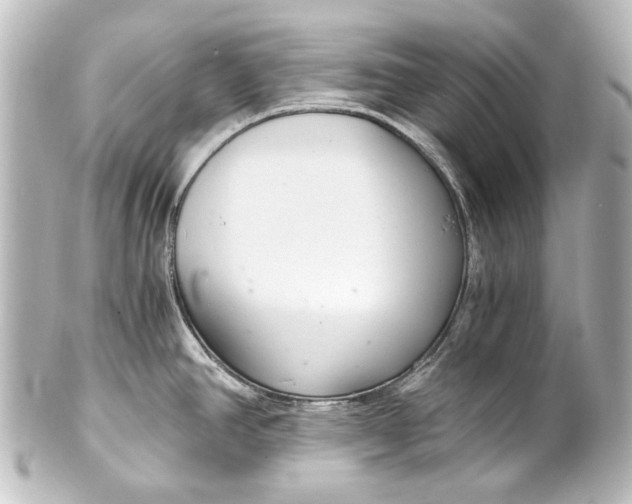 X0000101441390200807281013