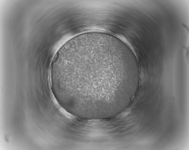 X0000101441391200807281013