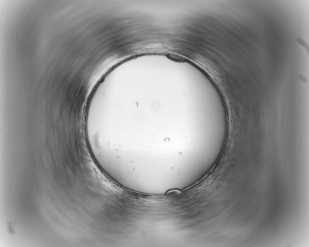 X0000101441392200807281013