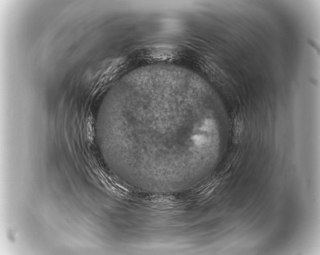 X0000101441394200807281012