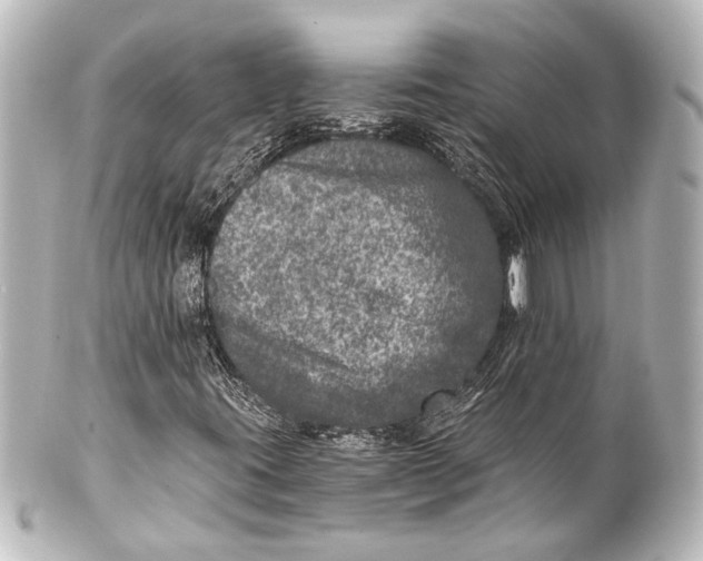 X0000101441395200807281012