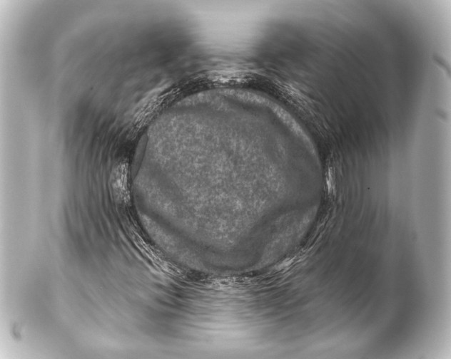 X0000101441396200807281012