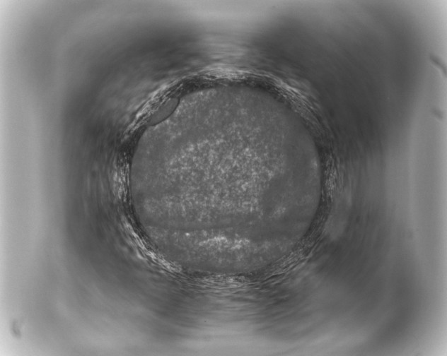 X0000101441397200807281012