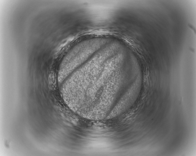 X0000101441398200807281012