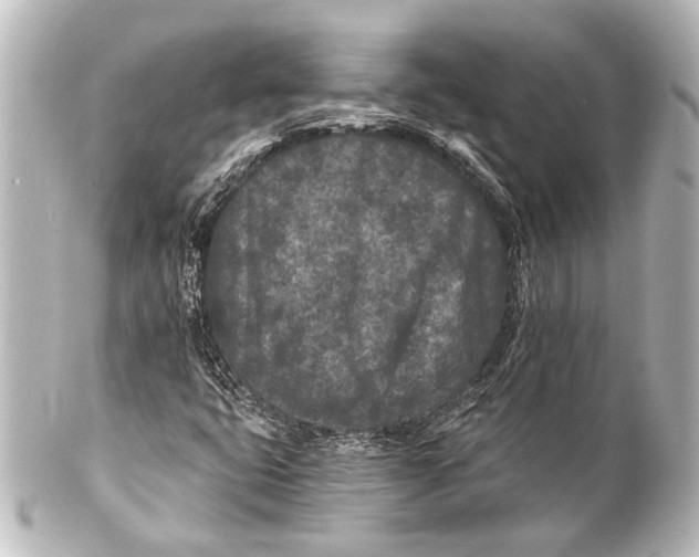 X0000101441399200807281012