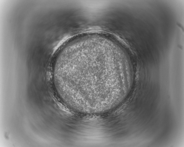 X0000101441400200807281012