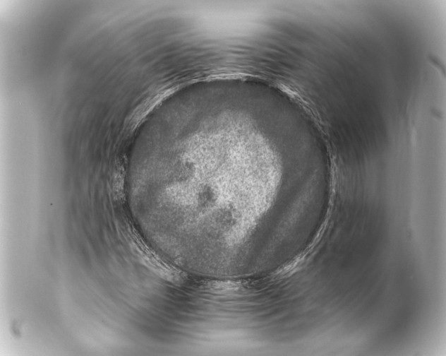 X0000101441401200807281012