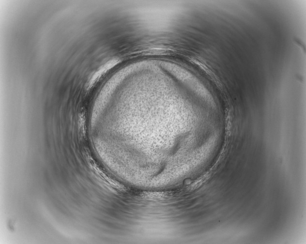 X0000101441402200807281012