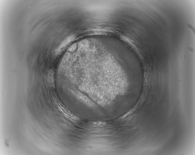 X0000101441403200807281012