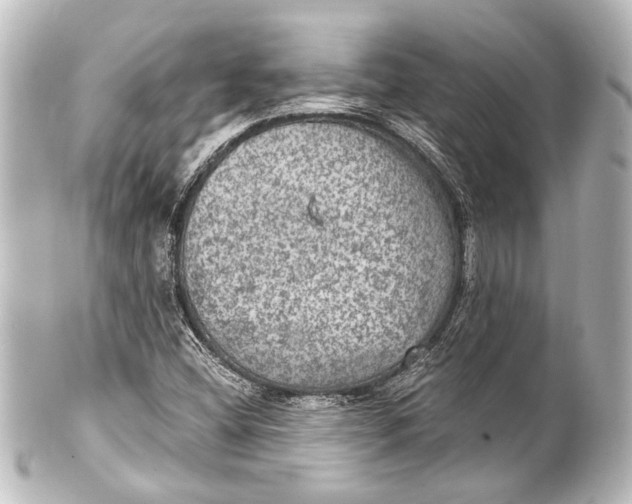 X0000101441404200807281012