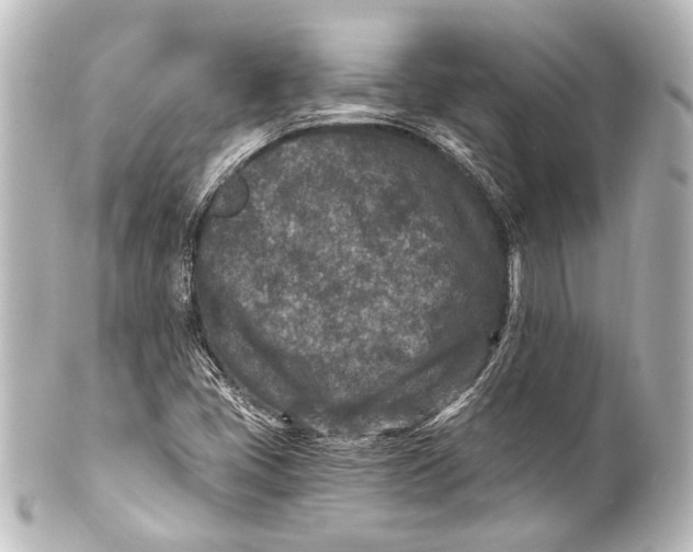 X0000101441405200807281012