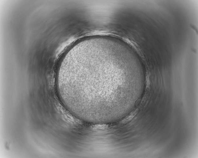 X0000101441406200807281012