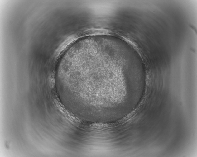 X0000101441407200807281012