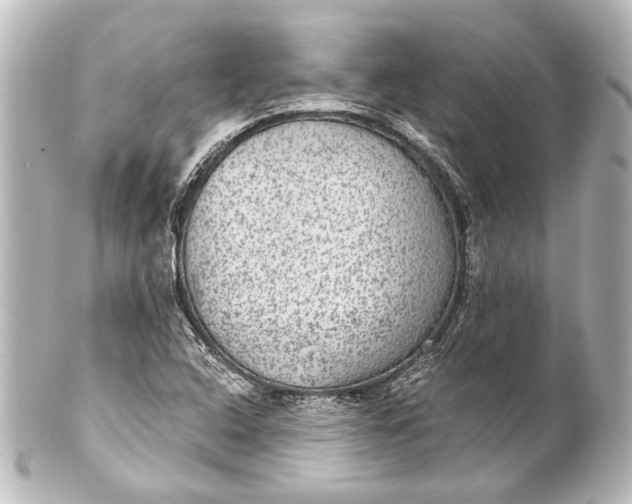 X0000101441408200807281012