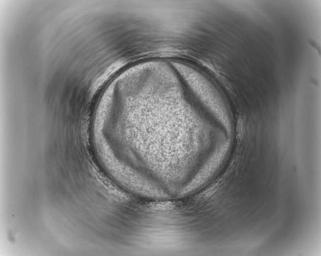 X0000101441410200807281012