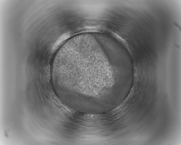 X0000101441411200807281012