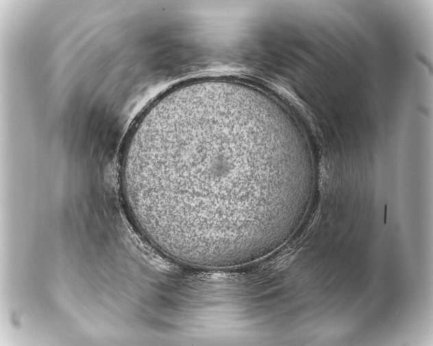 X0000101441412200807281012