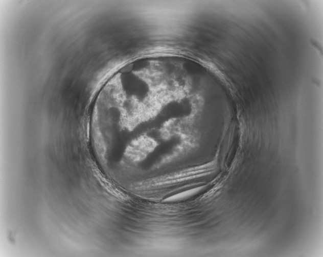 X0000101441413200807281012