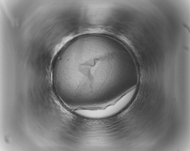 X0000101441414200807281012