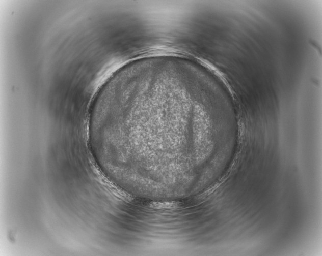 X0000101441415200807281012