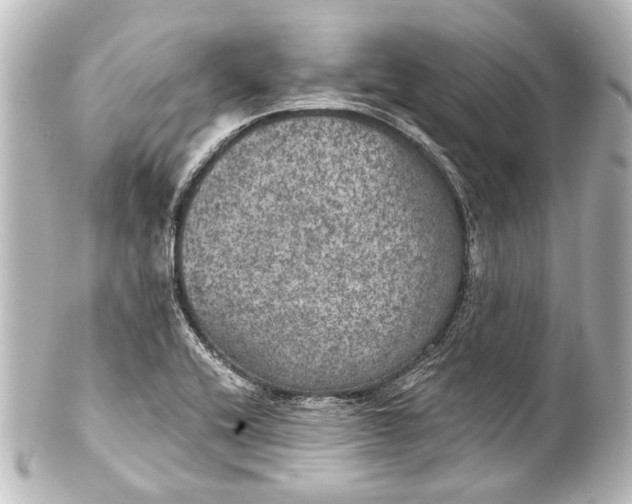 X0000101441416200807281012