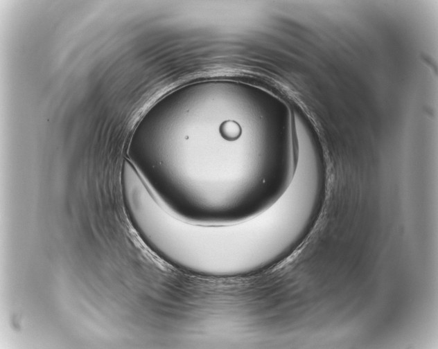 X0000101441417200807281012