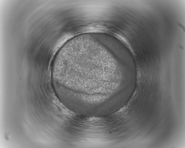 X0000101441419200807281012