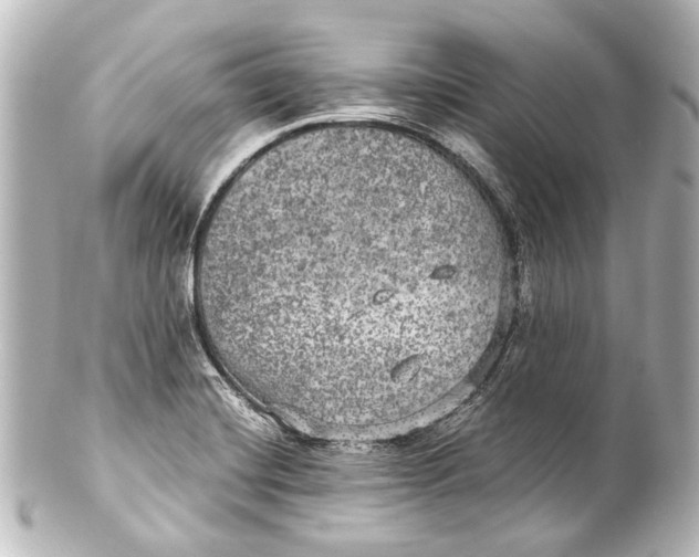 X0000101441420200807281013