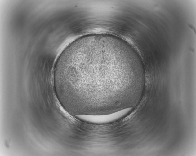 X0000101441421200807281013