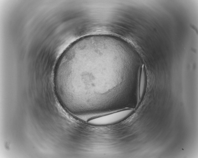 X0000101441422200807281013