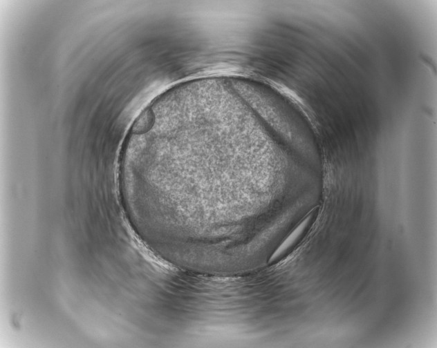 X0000101441423200807281013