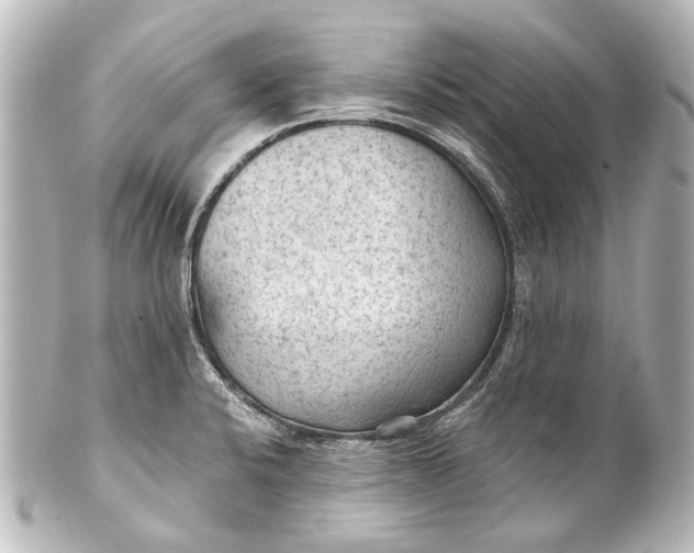 X0000101441424200807281013