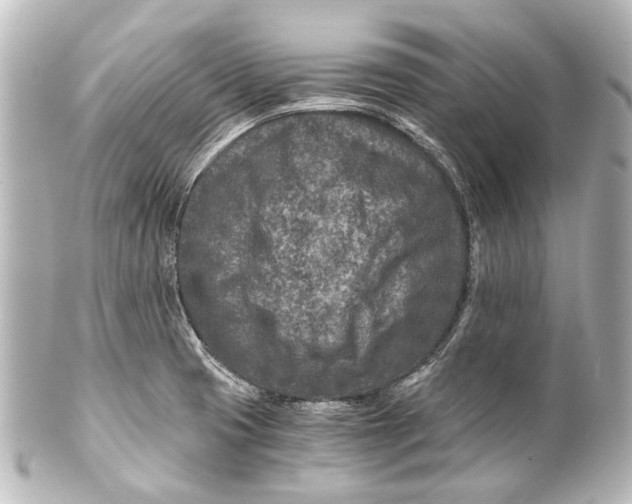 X0000101441425200807281013