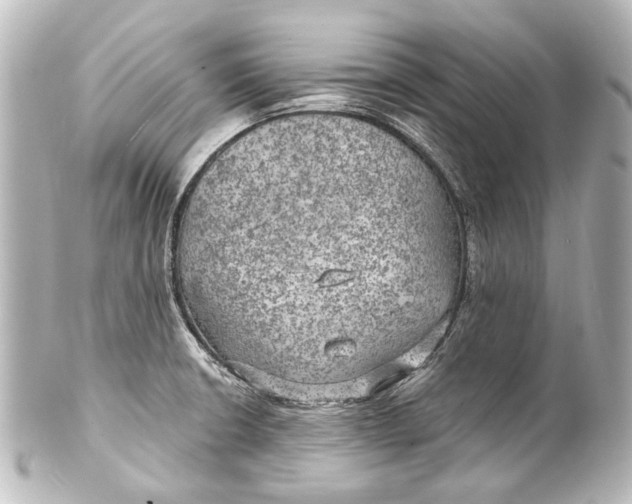 X0000101441426200807281013