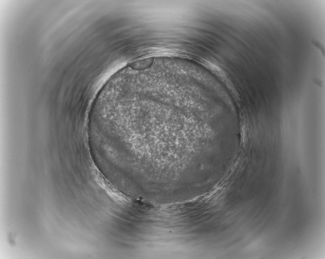 X0000101441427200807281013