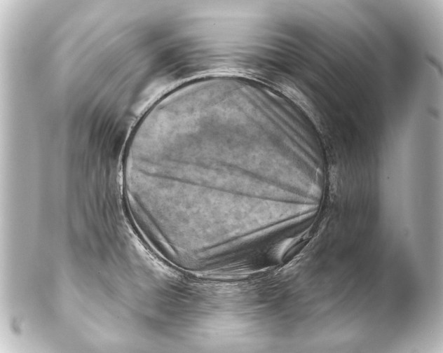 X0000101441428200807281013