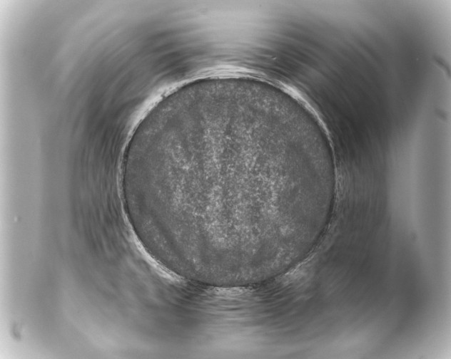 X0000101441429200807281013