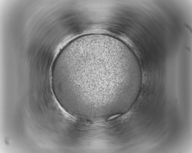 X0000101441430200807281013