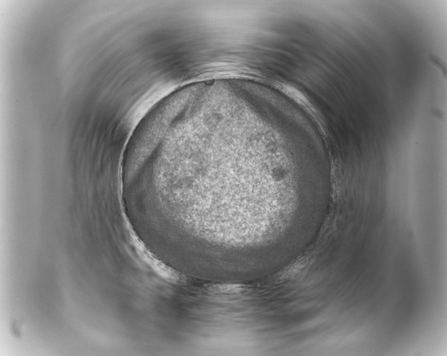 X0000101441431200807281013