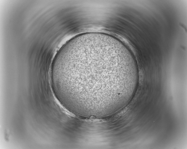 X0000101441432200807281013