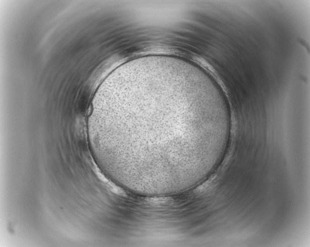 X0000101441433200807281013