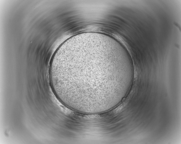 X0000101441434200807281013