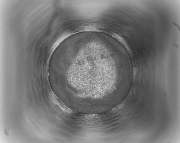 X0000101441435200807281013