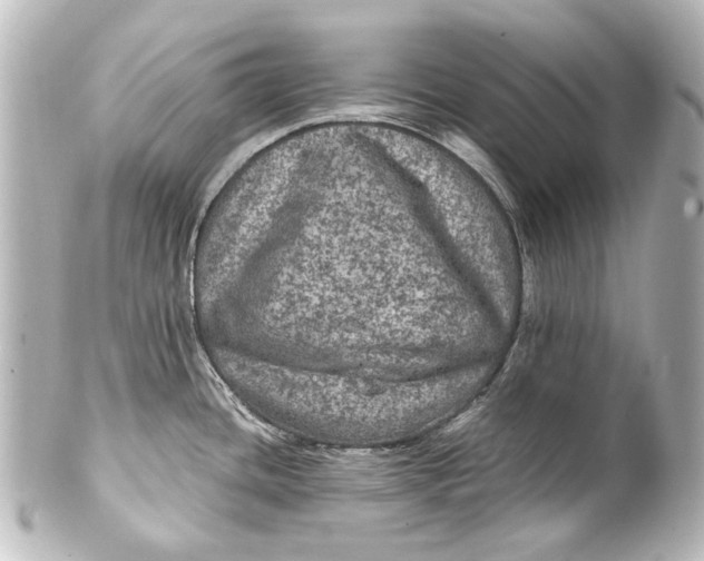 X0000101441436200807281013