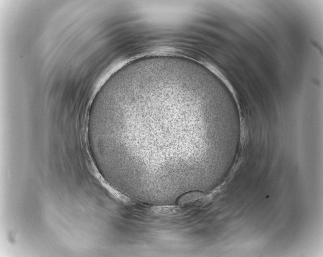 X0000101441437200807281013