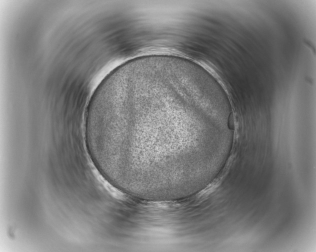 X0000101441438200807281013