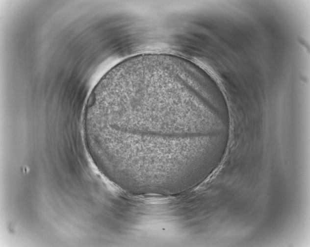 X0000101441440200807281013