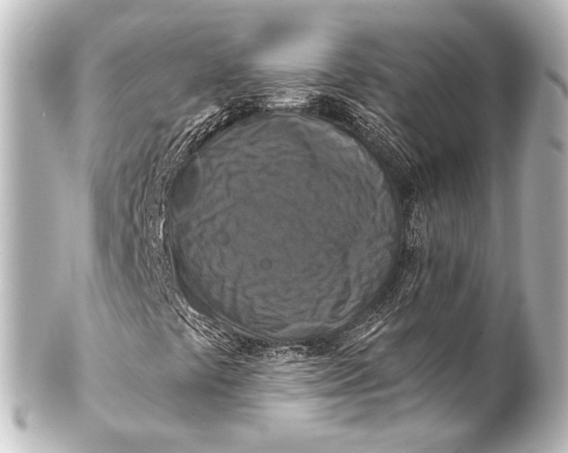 X0000101441441200807281012