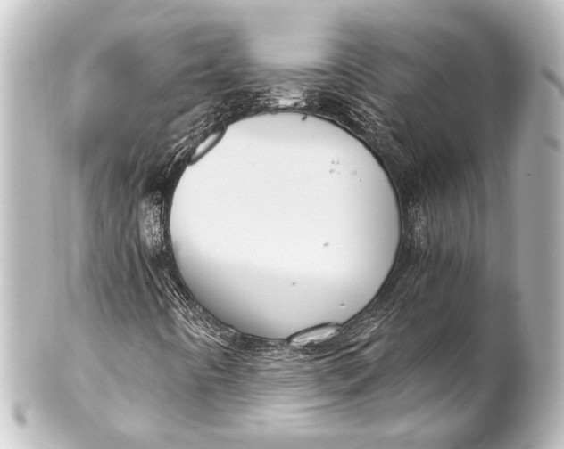 X0000101441442200807281012