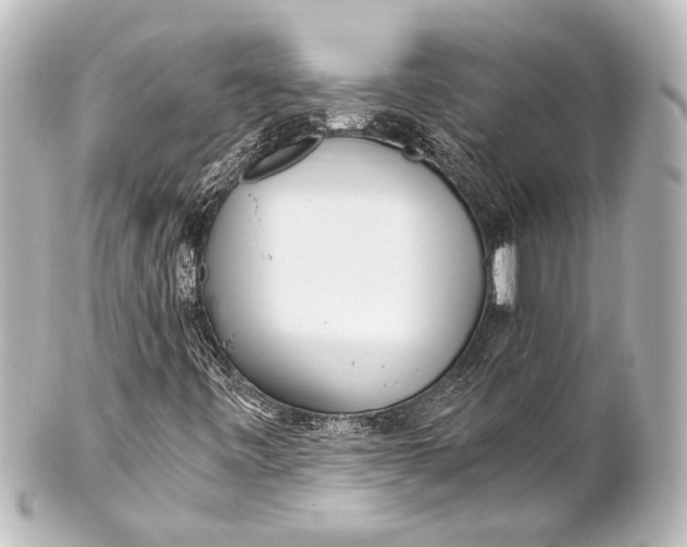 X0000101441443200807281012